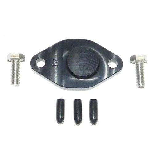 WSM Oil Injection Block Off Plate - 798664