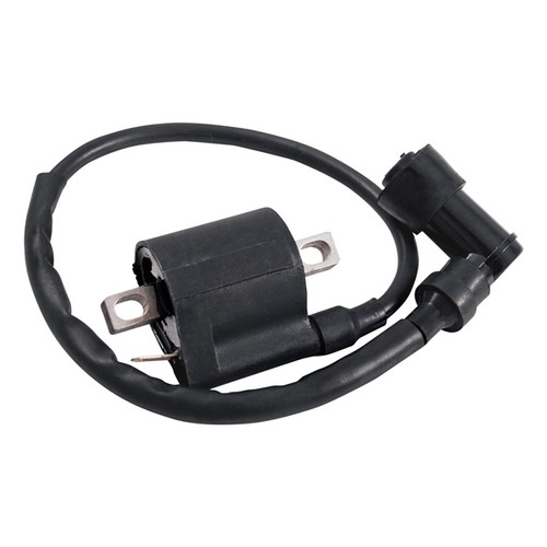 Outside Distributing External Ignition Coil 217121 - 217121
