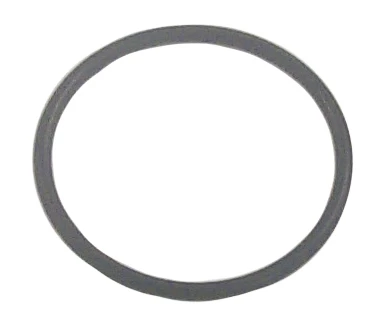 Sierra O-Ring - 722730