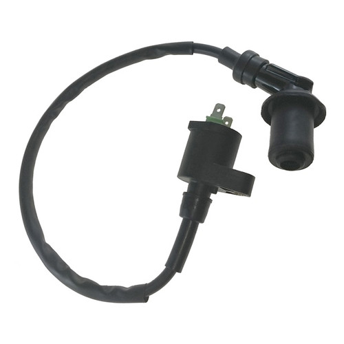 Outside Distributing External Ignition Coil 217484 - 217484