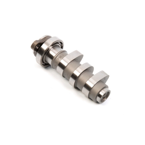 Hot Cams Camshaft 2 - 020624