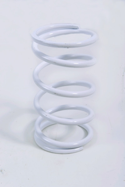 EPI Secondary Clutch Spring (Driven) - 294515