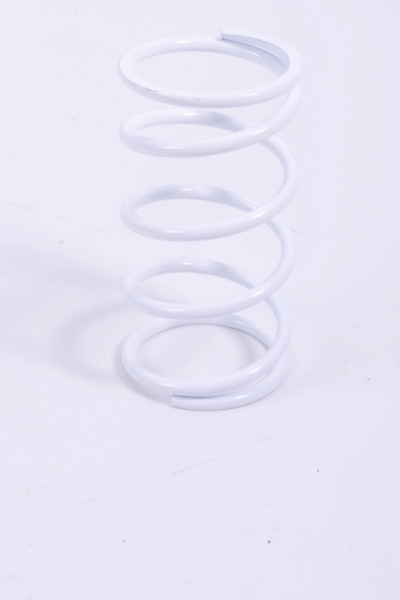 EPI Primary Clutch Spring (Drive) - 279065