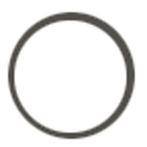 Sierra O-Ring - 723007