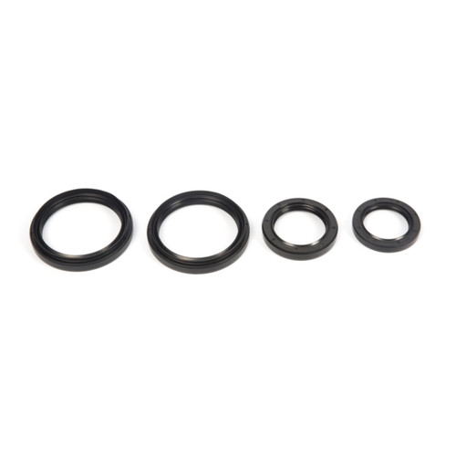 All Balls Differential Seal Kit Fits Arctic cat - 207328