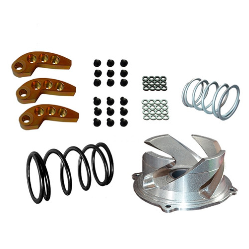 Straightline Clutch Kit with Adjustable Weight Fits Polaris - Steel - 384356