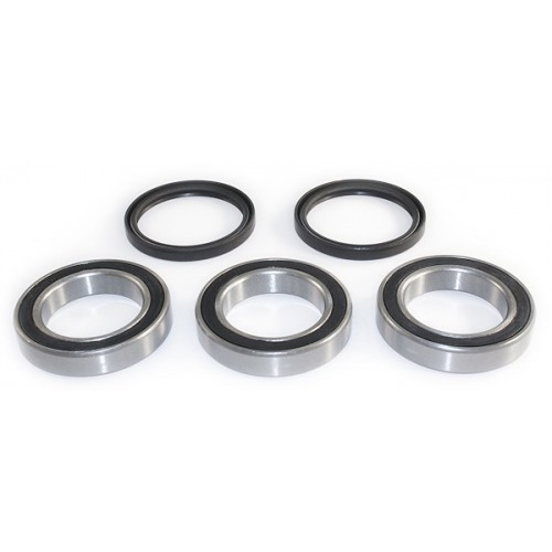 EPI Wheel Bearing & Seal Kit - 295251