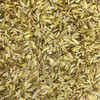 Fennel Seed