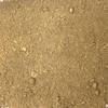 Black Cohosh Root Powder