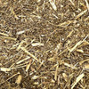 Wormwood BULK HERBS