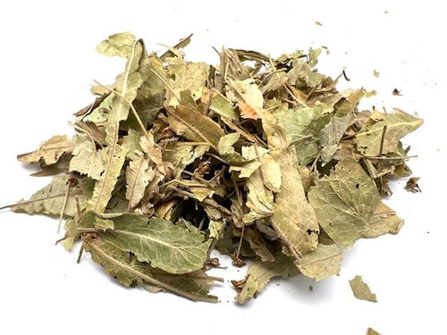 Linden Leaf and Flower BULK HERBS