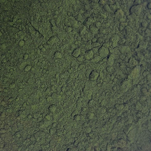 Chlorella Powder BULK HERBS