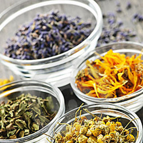 Organic Tea Bulk Herbs Starter Cultures Savvy Herbs and Teas