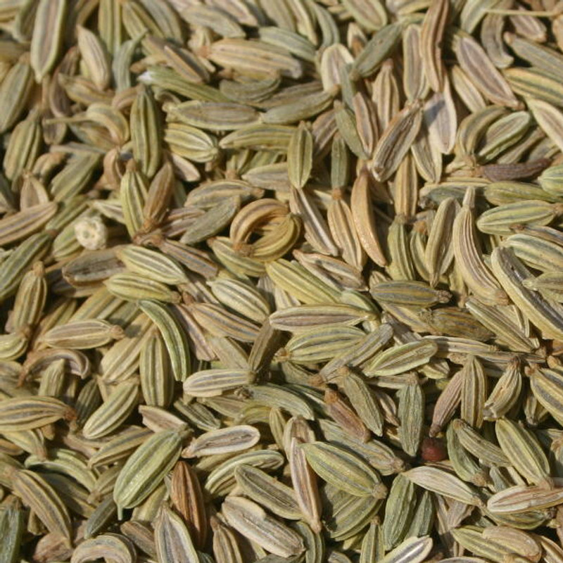 Fennel Seed - Savvy Teas and Herbs