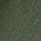 Chlorella Powder BULK HERBS