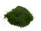 Chlorella Powder BULK HERBS
