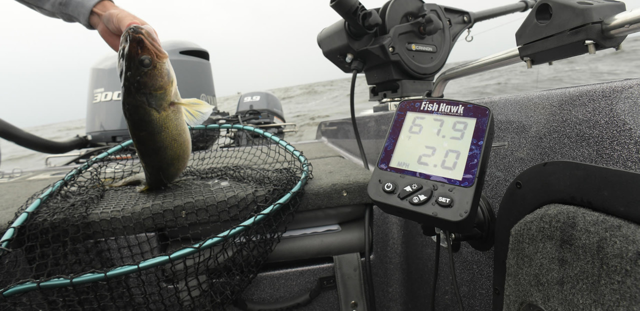 Salmon Fishing Determine Fishing Speed and Water Temperature with Fish