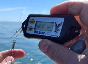 Fish Hawk TD Featured On Deadliest Catch TV Show Fish Hawk TD Featured On Deadliest Catch TV Show