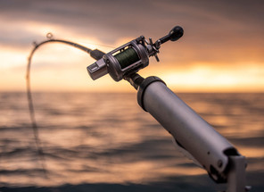 King Salmon Fishing In Ludington, Michigan