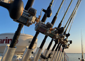 Eastern Basin Lake Erie Walleye