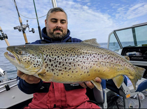 lake-ontario-brown-trout.jpg