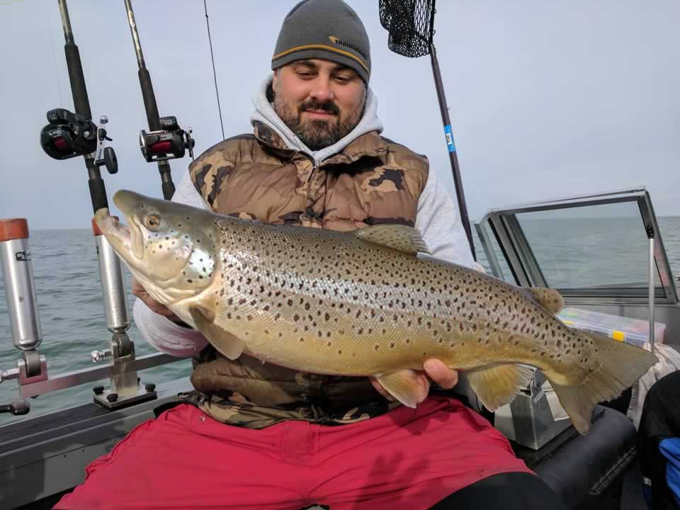 Lake Ontario Brown Trout Fishing Fish Hawk Electronics Store