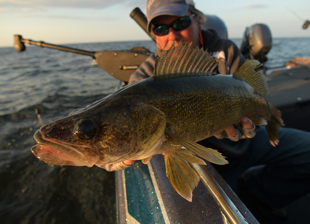 2020 Sunset Bay Walleye Shootout Tournament Preview Fish Hawk Electronics