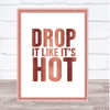 Rose Gold Drop It Like Its Hot Song Lyric Quote Print