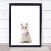 Dog West Highland White Terrier Bubblegum Wall Art Print