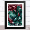 Greens & Reds Cactus Abstract Design 2 Wall Art Print