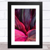 Pink Tropical Leaves Abstract Wall Art Print