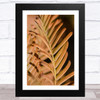 The Golden Needles Of The Dawn Redwood Wall Art Print