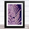 The Purple Needles Of The Dawn Redwood Wall Art Print