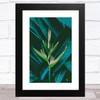 Green Flower On Dark Tropical Foliage Wall Art Print