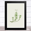 Herbs And Wild Flowers Design 12 Wall Art Print