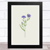 Herbs And Wild Flowers Design 9 Wall Art Print