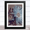 Aster Flowers Blue Style 2 Wall Art Print