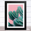 Cactus On Pink Wall Art Print