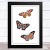 Butterflies On White Background Home Wall Art Print