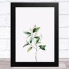 Watercolour Eucalyptus Design 2 Home Wall Art Print