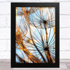 Dandelion Flowers Close Up Home Wall Art Print