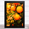 Close Up Oranges Home Wall Art Print