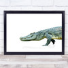 Crocodile Simple Animal Wall Art Print