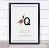 New Baby Birth Details Christening Nursery Initial Quail Q Keepsake Gift Print