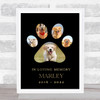 In Loving Memory Pet Remembrance Photos Paw Dog Black Personalised Gift Print