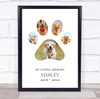 In Loving Memory Pet Remembrance Photos Paw Dog White Personalised Gift Print