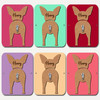 Chihuahua Dog Lead Holder Leash Hanger Hook Any Colour Personalised Gift