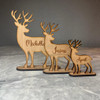 Reindeer Personalised Christmas Family Decoration Table Name Place Setting