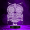 Patterned Pretty Owl Personalised Gift Colour Changing LED Lamp Night Light