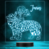 Encanto Antonio With Jaguar And Toucans Personalised Gift Any Colour Night Light